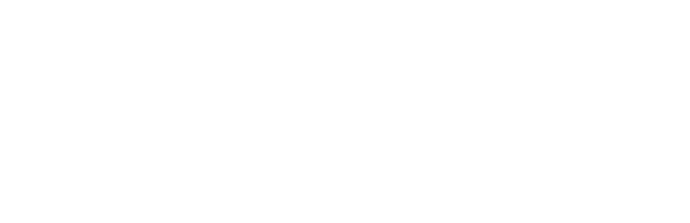 Visa's brand logo